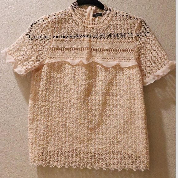 Meet your Posher, Lady G - Picture 2 of 5